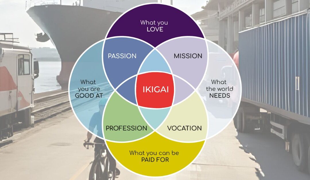 Why Is the project titled IKIGAI